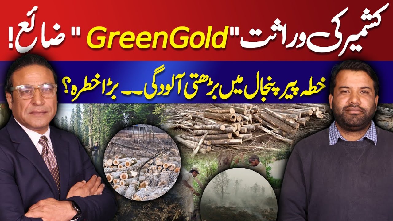 Kashmir&rsquo;s &ldquo;Green Gold&rdquo; in Danger | Rising Pollution in the Pir Panjal Region | Kashmir Digital