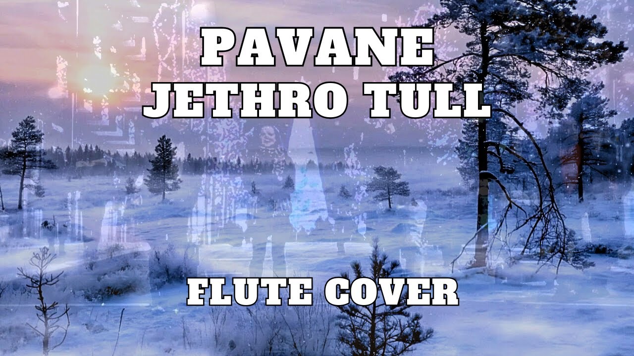 Кавер для флейты «Павана» (Jethro Tull)