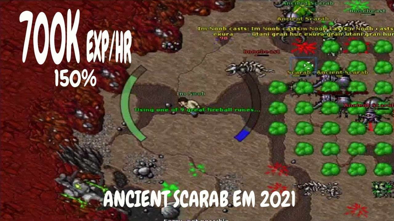 Tibia Hunt lvl 50 ao 80 MS e ED  Ancient Scarab em 2021 – 700k exp/h na 150%
