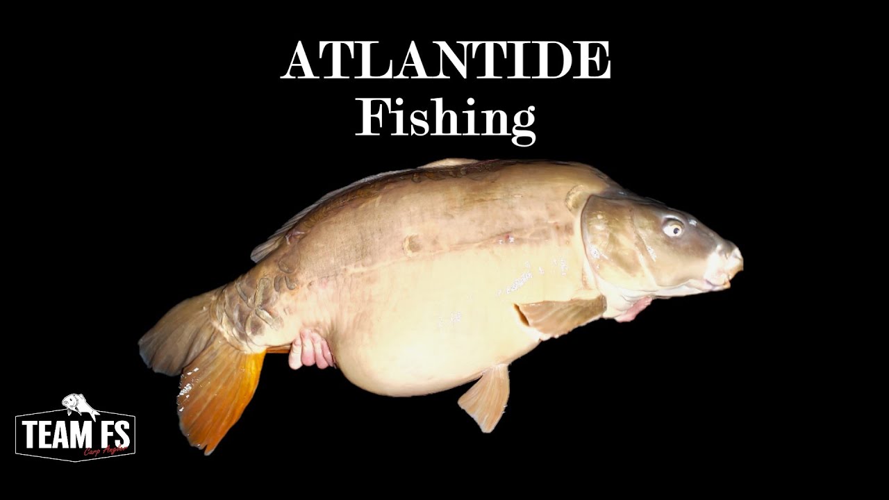 TeamFS Vs Atlantide Fishing (BIG FISH)