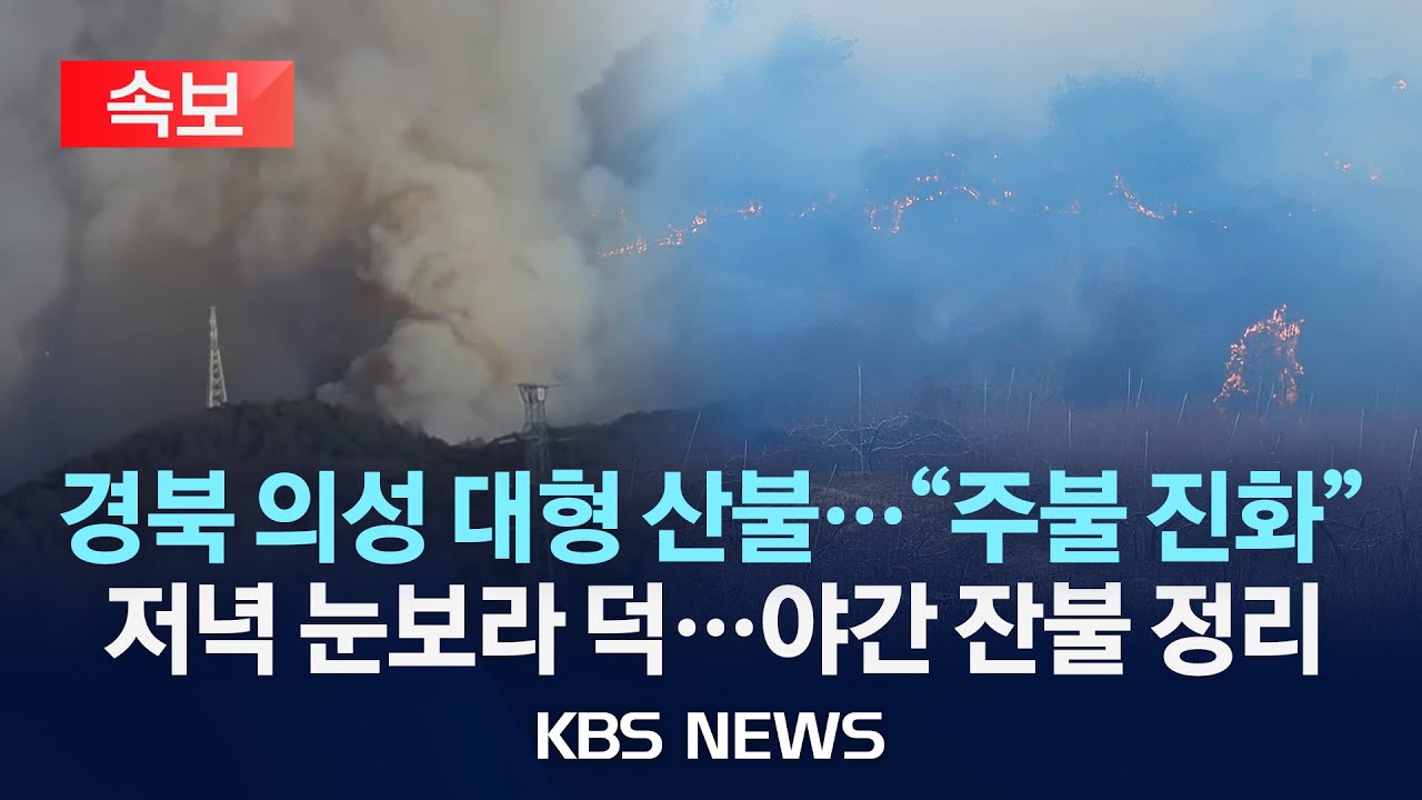 [속보] 경북 의성 대형 산불...