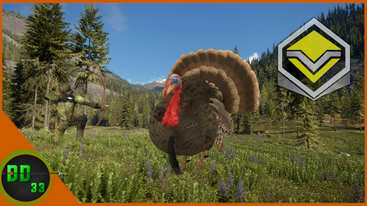 Realistic Style Turkey Hunt!! Call Of The Wild
