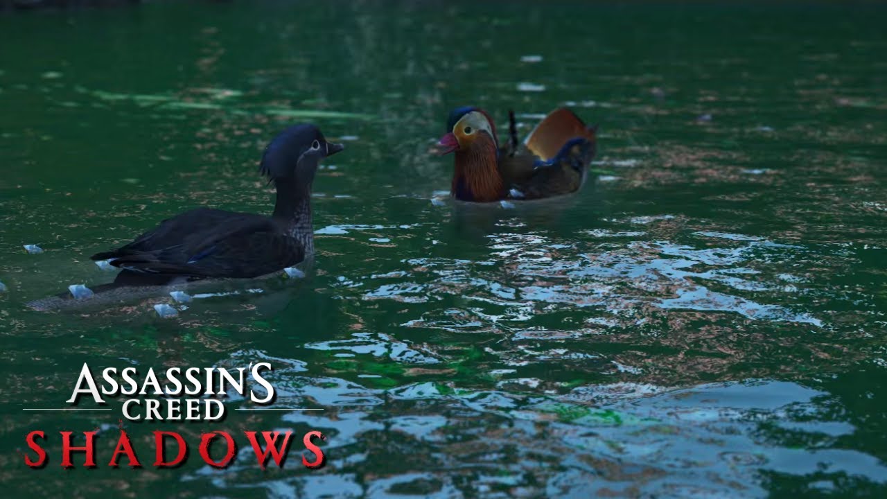 Assassin’s Creed Shadows 🏯 96: Ein Geheimnis hinter dem Wasserfall