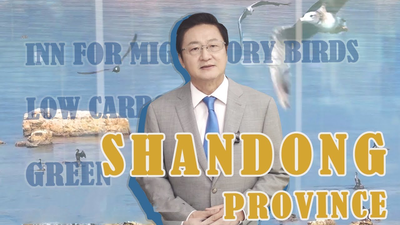 Green and low-carbon: Shandong&rsquo;s answer to modernization practice with Chinese characteristics