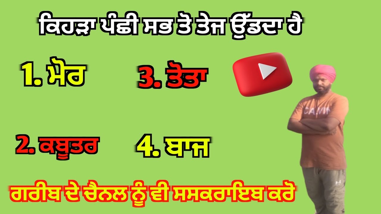 😱 ਕਿਹੜਾ ਪੰਛੀ ਸਭ ਤੋ ਤੇਜ ਉੱਡਦਾ ਹੈ|😱 #GeneralKnowledge #Gkpunjabi #jeetagkexpress 