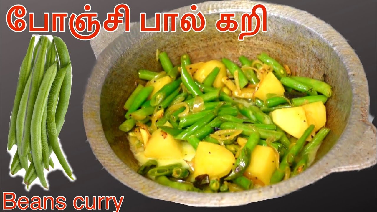 போஞ்சி உருளைக்கிழங்கு பால் கறி /Bonchi Paal Curry /Beans Recipe in Tamil