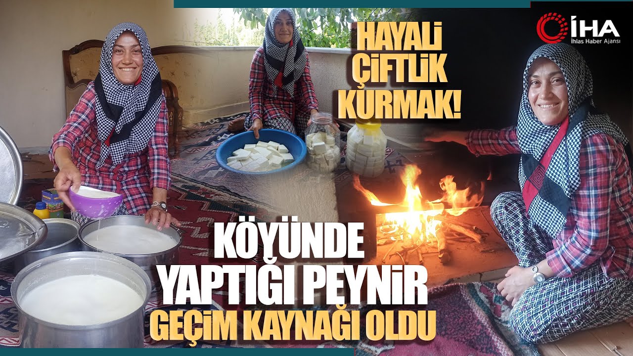 Köyde Peynir Yapıp Satan Selime Hançer, Siparişlere Yetişemiyor