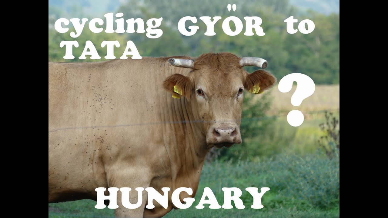 Bicycle Touring, Hungary: Gyor to Tata, EuroVelo 6