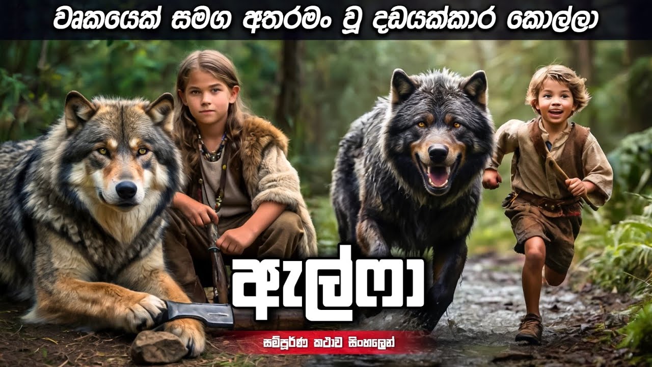 වෘකයෙක් සමග අතරමං වූ දඩයක්කාර කොල්ලා | 