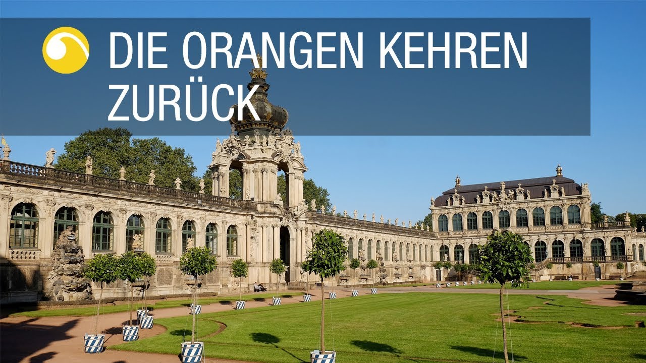 Die Orangen kehren zur&uuml;ck | Dresdner Zwinger | Schl&ouml;sserland Sachsen