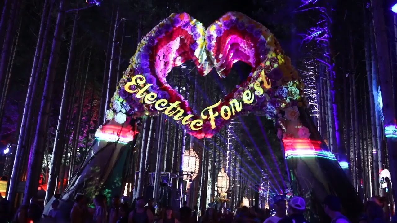 Electric Forest Music Festival Transformed Using Projection Mapping | Testimonial