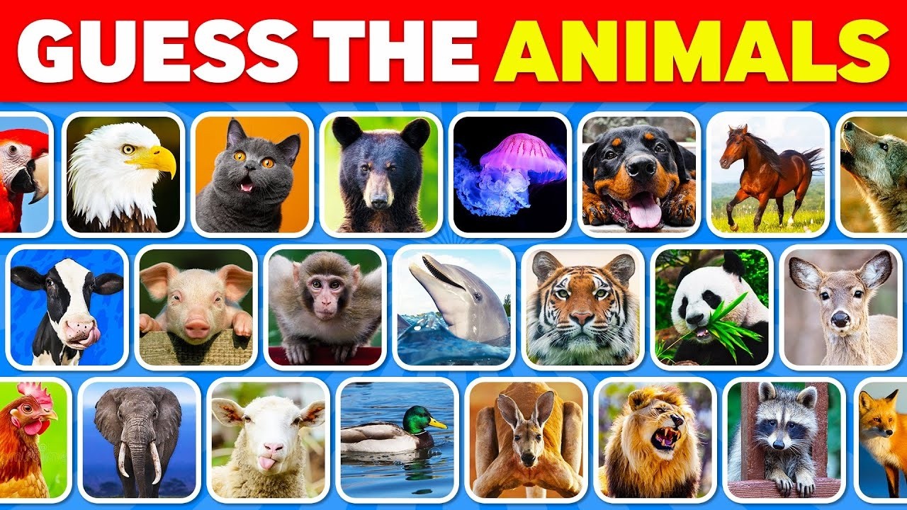 Guess the Animal by Picture 🦁 | Easy ➜ Medium ➜ Hard Animal Quiz