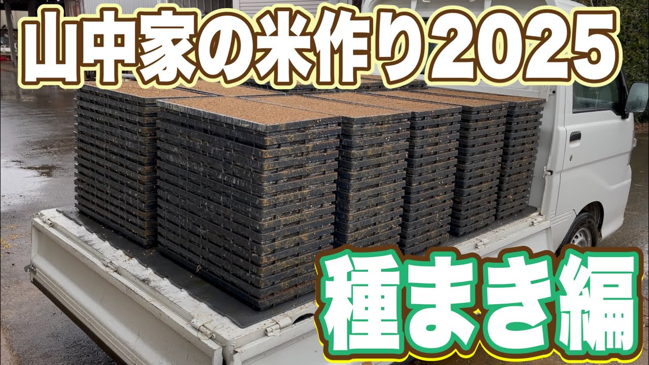 山中家の米作り2025！種まき編〜美味しい白米が出来るまでの記録〜