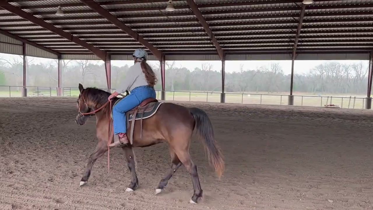 Lone Star Remington - AA video