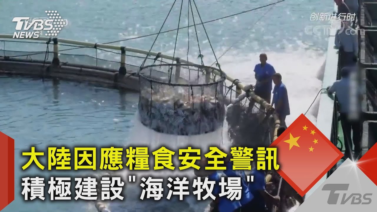 大陸因應糧食安全警訊 積極建設「海洋牧場」｜十點不一樣20220203