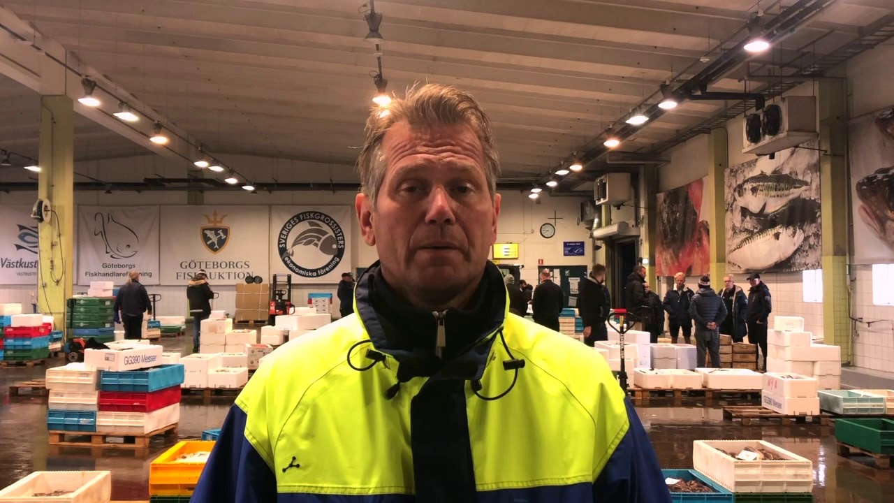 Välkommen till Göteborgs Fiskauktion