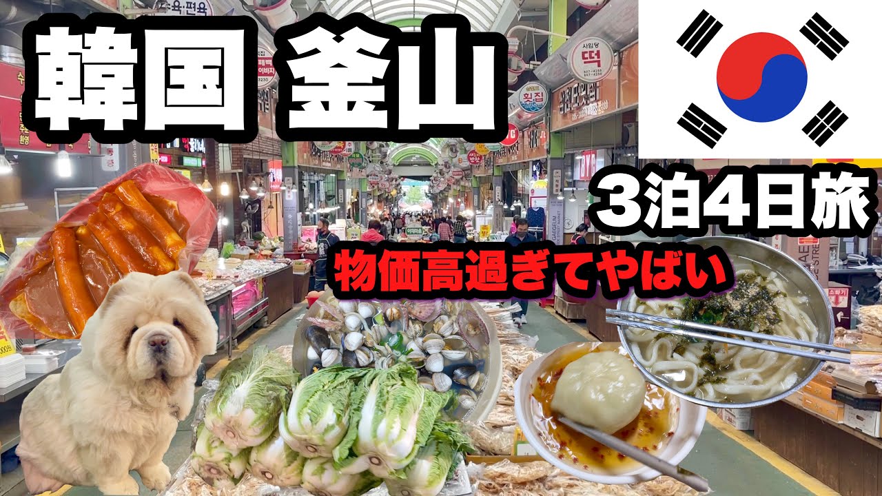 【韓国釜山】物価高騰がすごいと言う韓国に行ってみた/ 探せば安くて良い店もある/ 貧乏旅バックパッカー/倹約家の血が騒ぐ