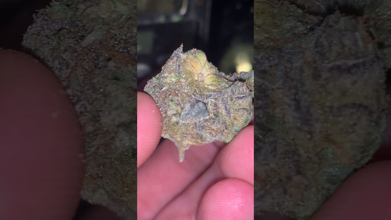 SFV-OG