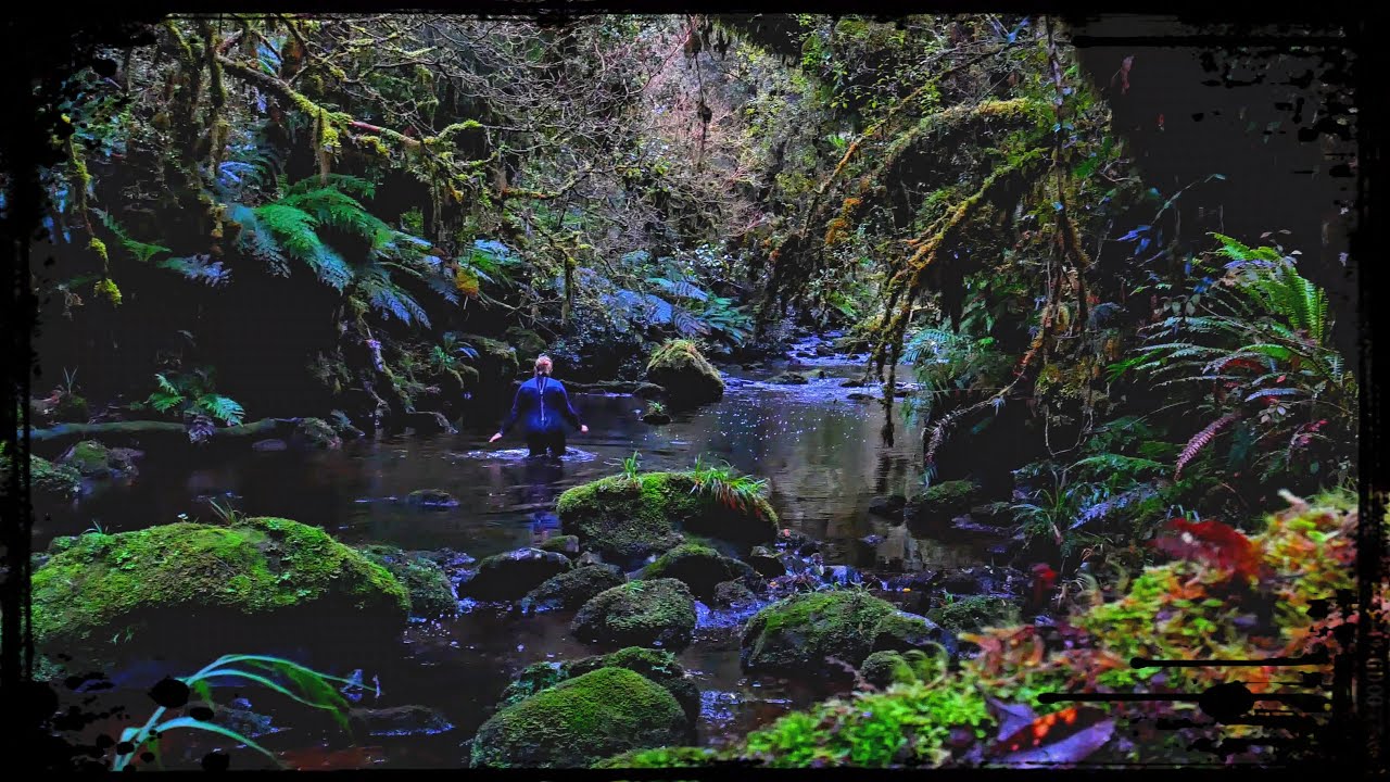 What Exactly is THE SHUTE? Catlins, New Zealand HIDDEN Adventure