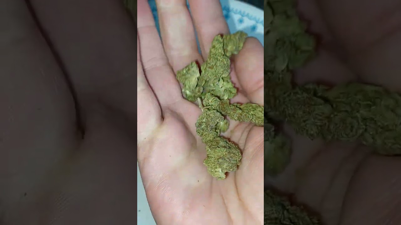 Sour OG THCA, @flametraincbd4573 (is it good?)  see my Instagram @tomcur33