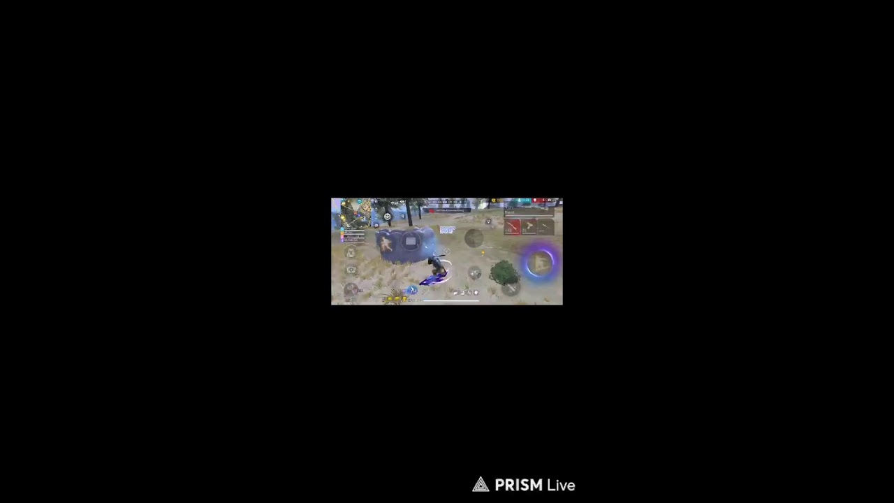 SGE   LIVE is live
