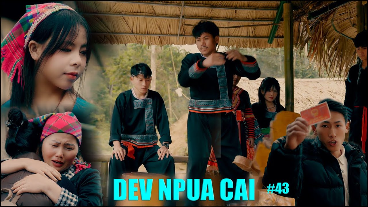 Dev Npua Cai ( Ep 43 )  Nkauj Zag Rooj Plaub - Hmong Short Film