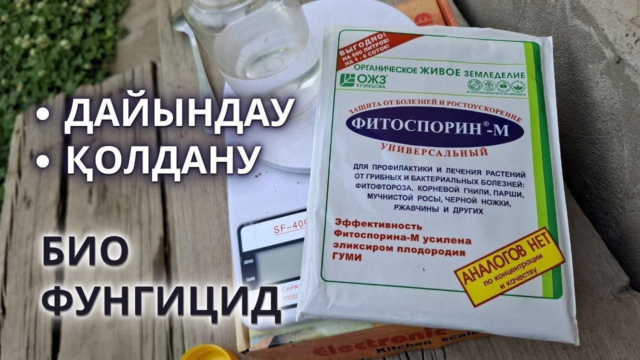 Фитоспорин ҚАЛАЙ ҚОЛДАНАМЫЗ | Дайындау