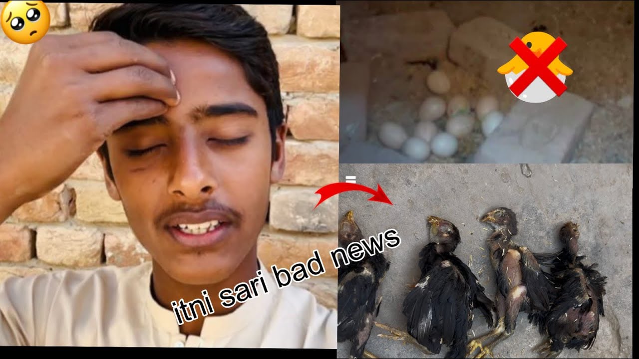 Itni sari sad 😔 news. #hamara setup#vlog.  