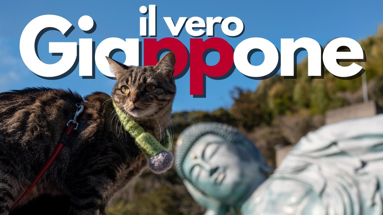 Alla scoperta del VERO Giappone 🇯🇵 Vanlife in Japan