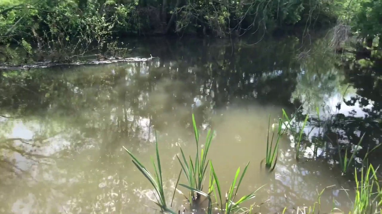 Amalgamated fisheries LTD lower Cristian Malford Bristol Avon