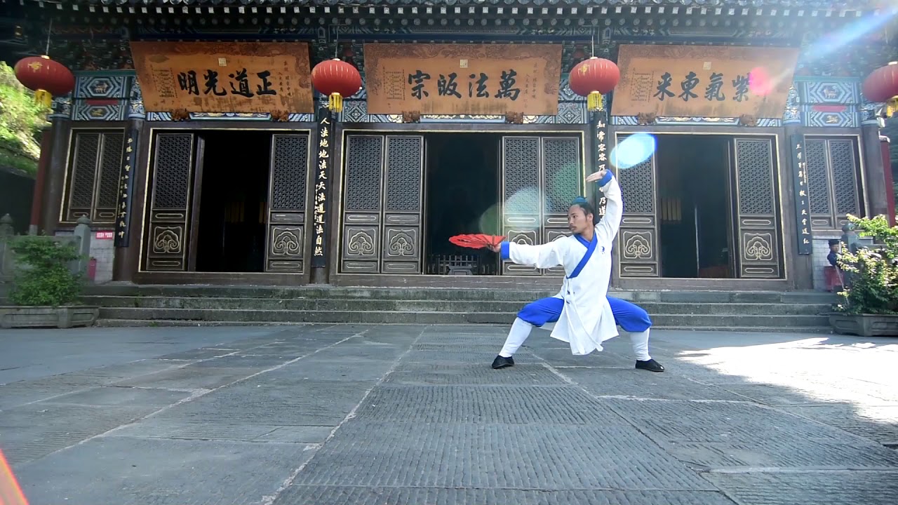 Wudang fan: learn basics sequences