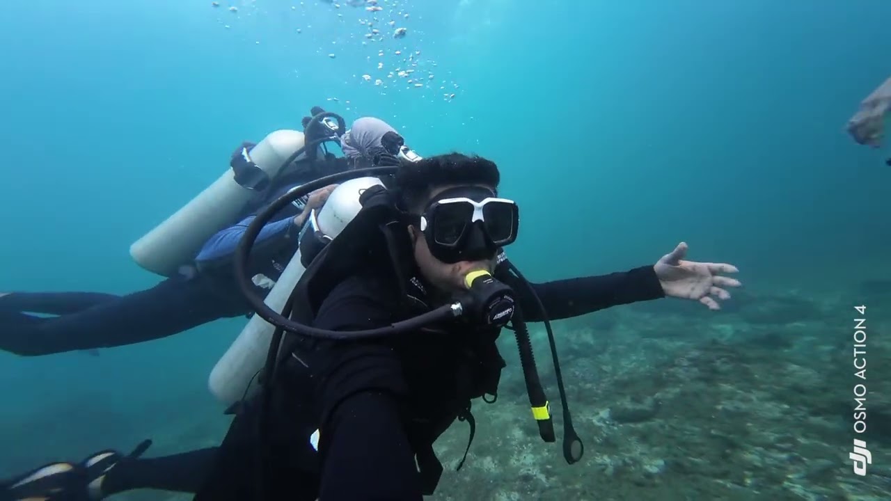 ನೇತ್ರಾಣಿ ಎಂಬ ಸುಂದರ ಸ್ವರ್ಗ ❤️ #scubadiving #beach #netraniisland #murudeshwartemple #karnataka #