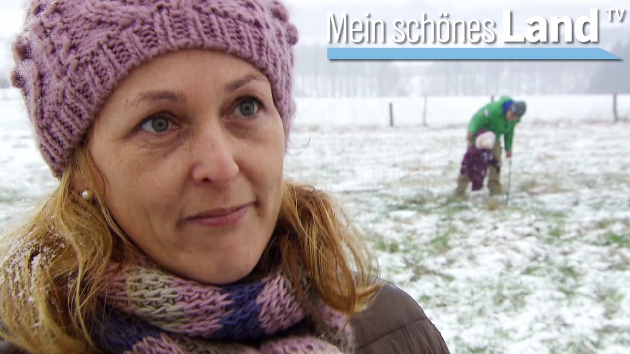 Frühling im Münsterland - die schönsten Höfe Norddeutschlands (NDR)