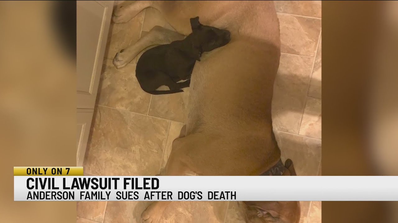 Family speaks out: files lawsuit after alleged drunk driver hits and kills dog in front of children