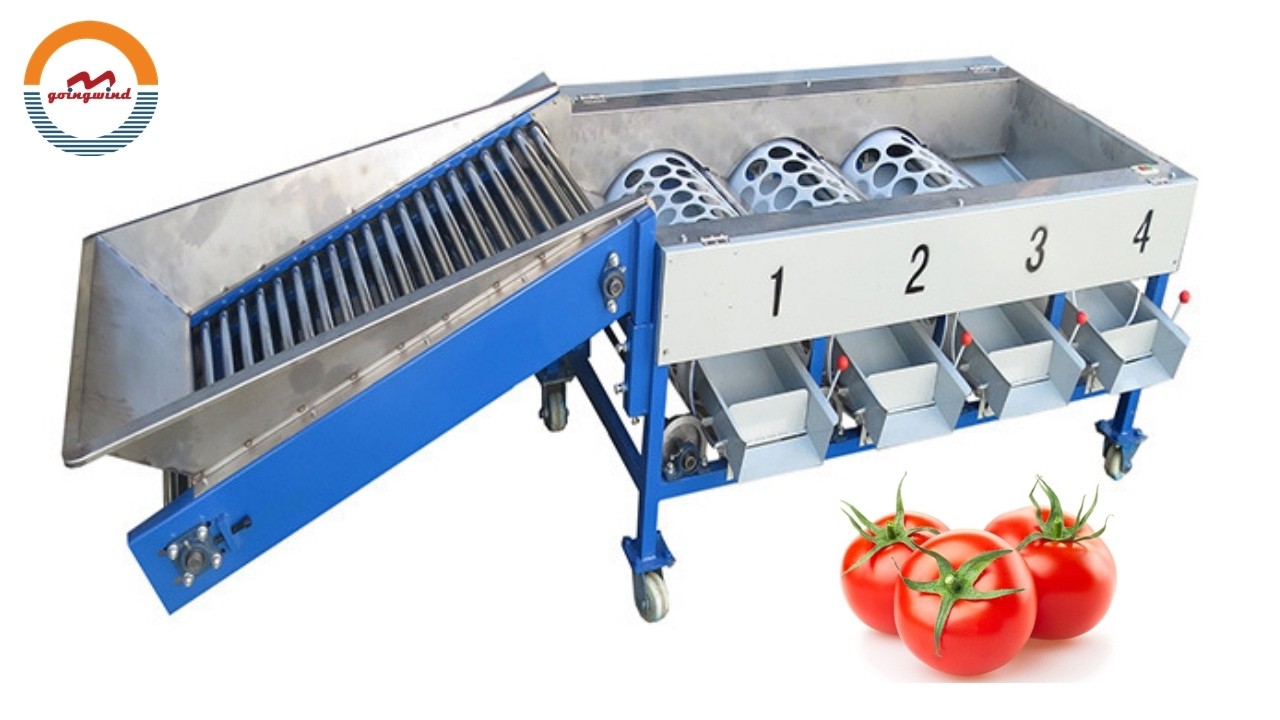 Automatic Commercial Tomatoes Size Grading Sorting Machine Auto Small Scale Tomato Sorter Grader
