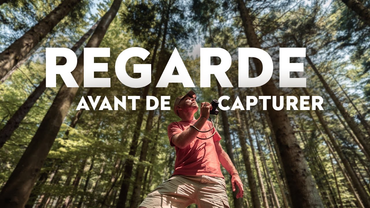 Tu n'as pas besoin d'un meilleur boîtier. Juste d'un meilleur regard.