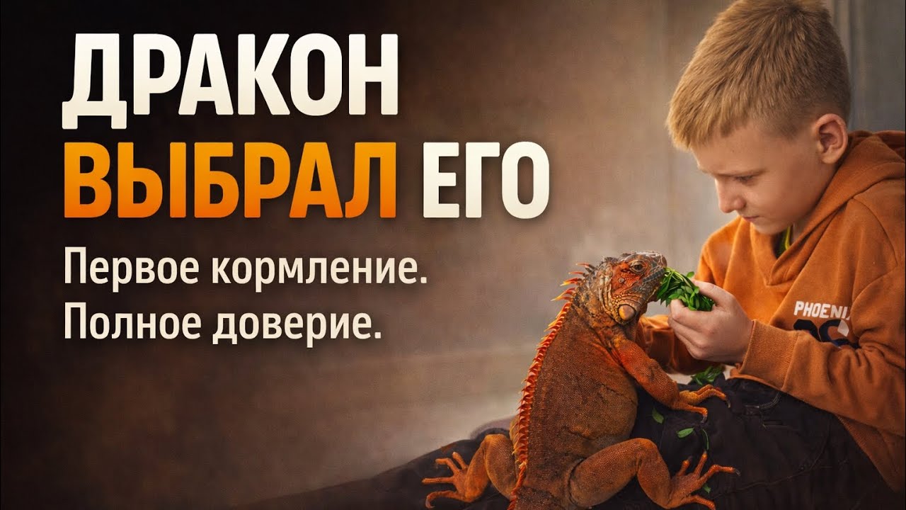 Игуана впервые привыкает к сыну — трогательный момент🐉#pets #pet #fyp #funny #animals #iguana