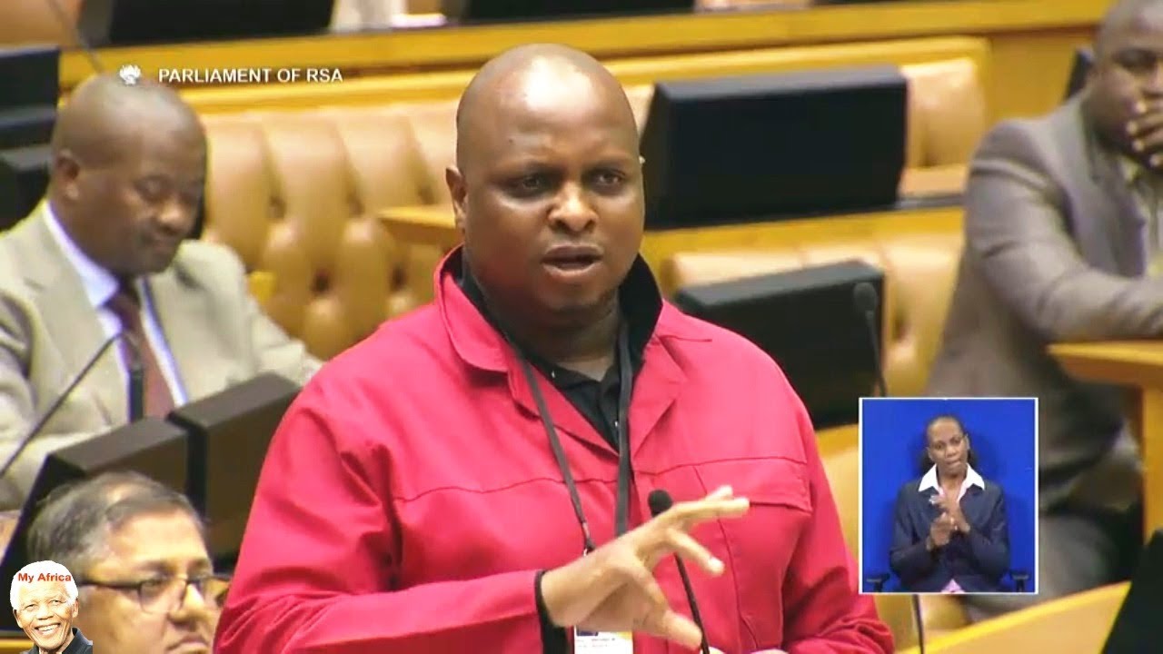 Floyd Shivambu Pushing David Mabuza In A Corner