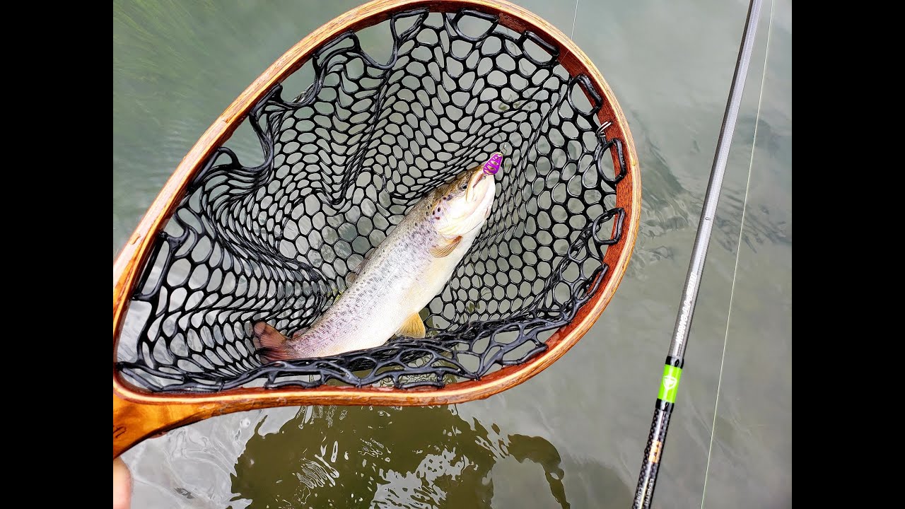 კალმახი სპინინგით 2020წ. favorite x1,  sv fishing