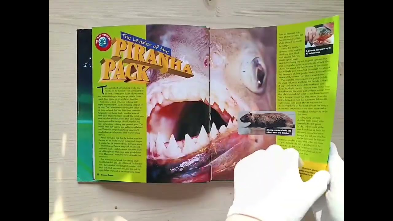 Обзор книги My first Animal Encyclopedia, Young Discoverer Series Animals #booklya.books