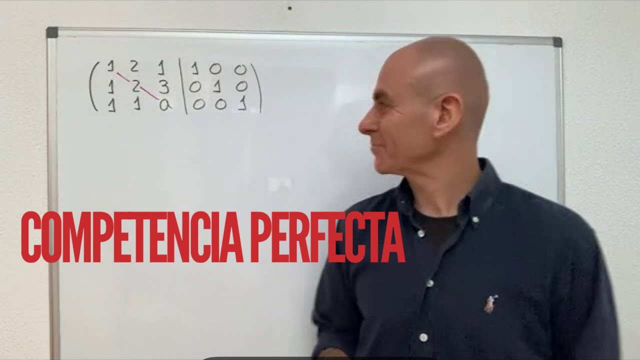 Equilibrio de mercado en competencia perfecta 
