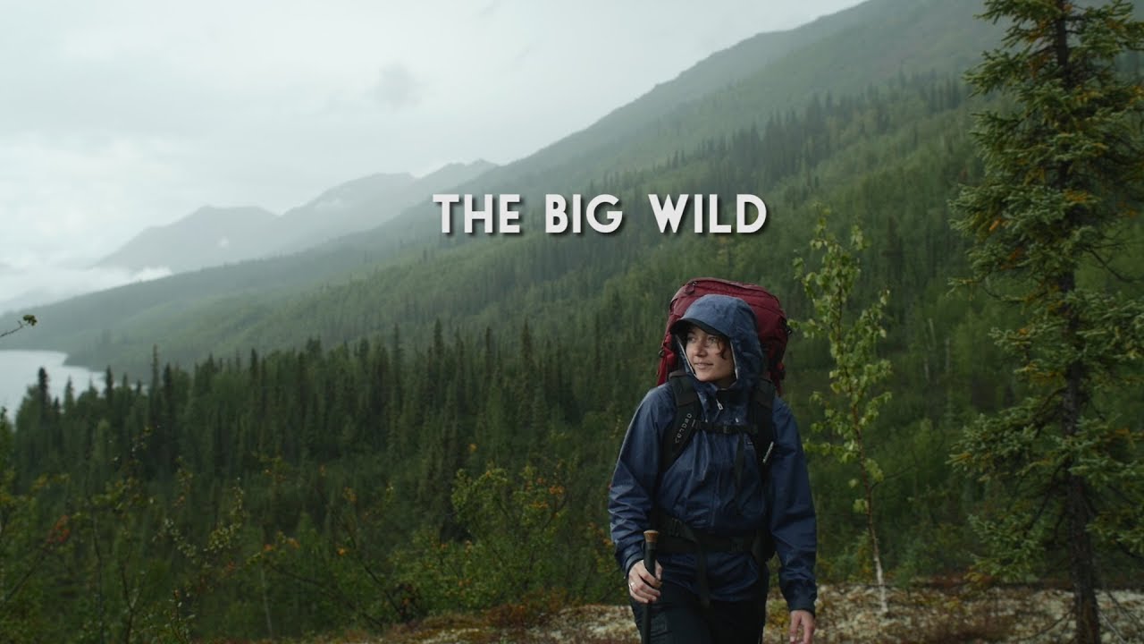 BROOKS RANGE COUNCIL ACTION SERIES: THE BIG WILD