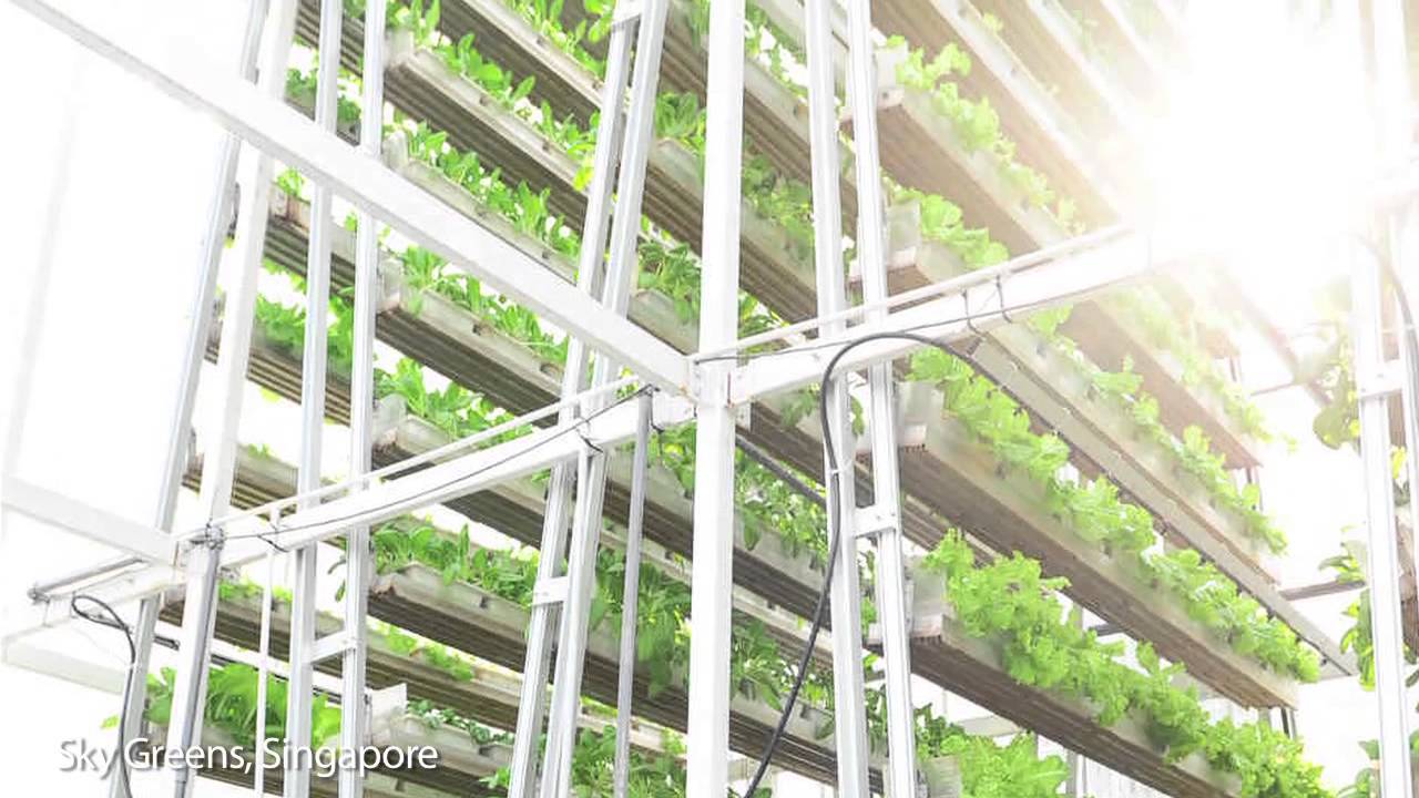 Vertical Farming Explained, with Dickson Despommier | Big Think