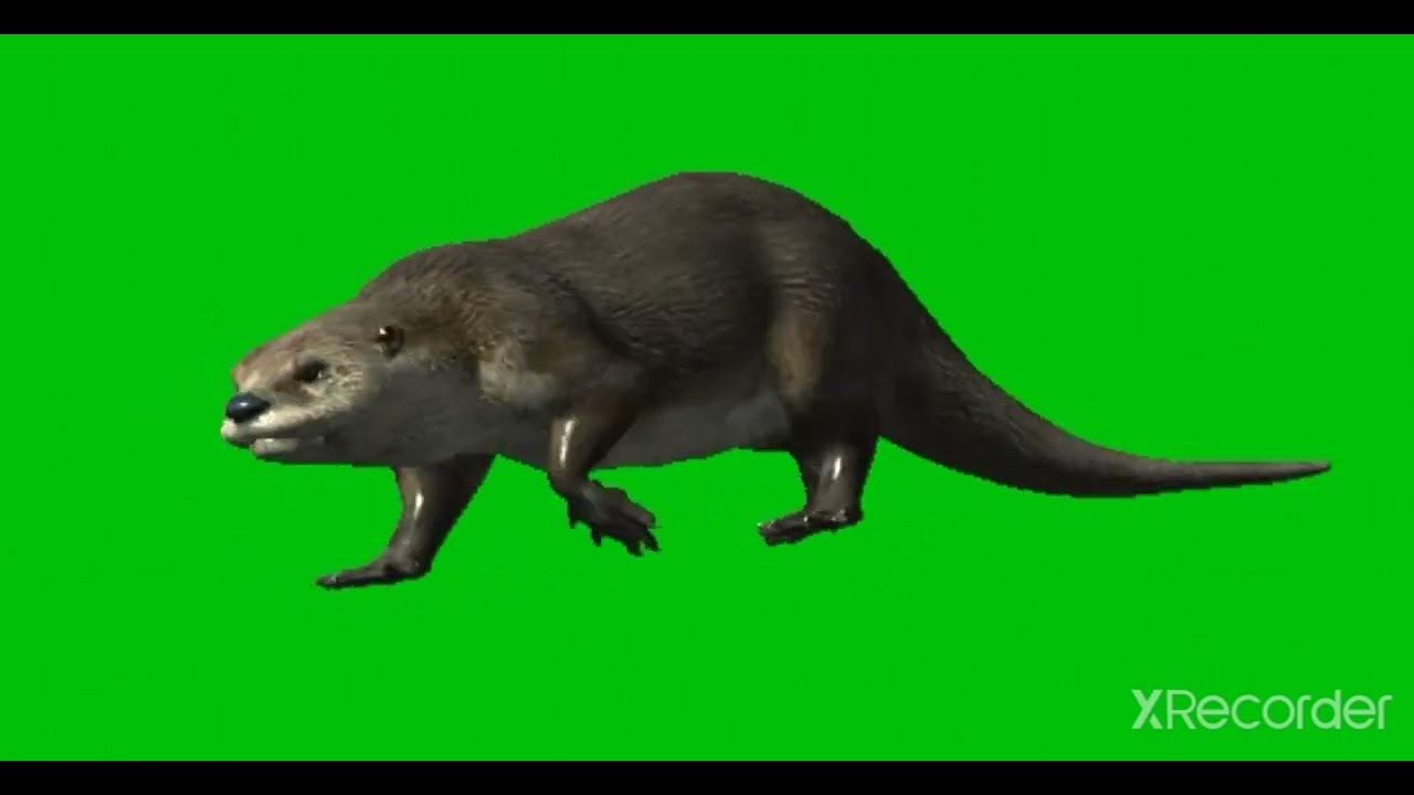otter vs crocodile snoop green screen chalne firne ke style aur Shikar Karne ke style🐡🐡🐡