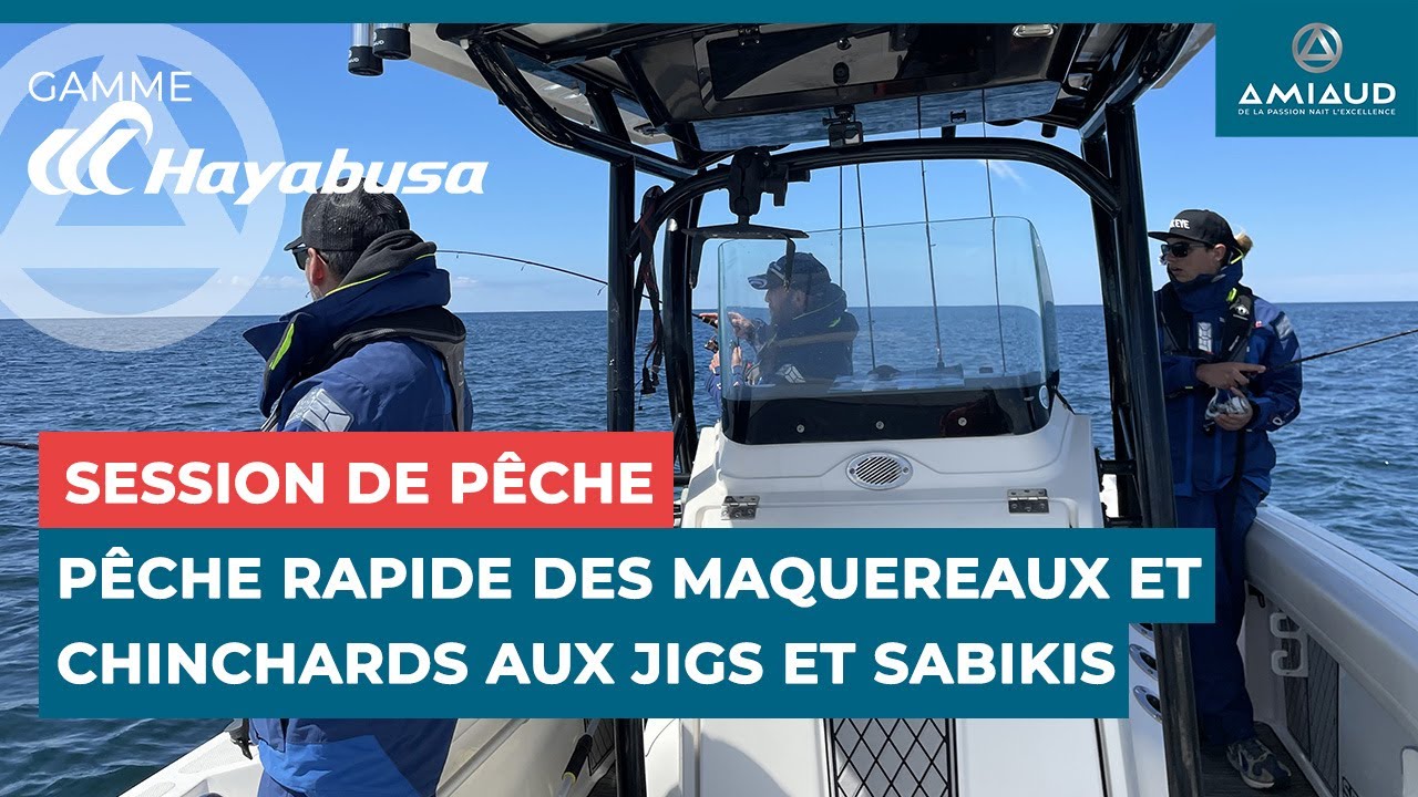 Gamme Hayabusa | Pêche rapide des maquereaux et chinchards aux jigs et sabikis