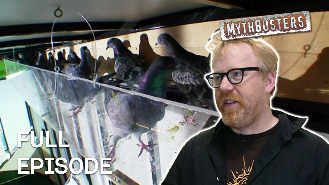Does a truck weigh more when filled with birds? | MythBusters | S4 E09 | Full Episode
