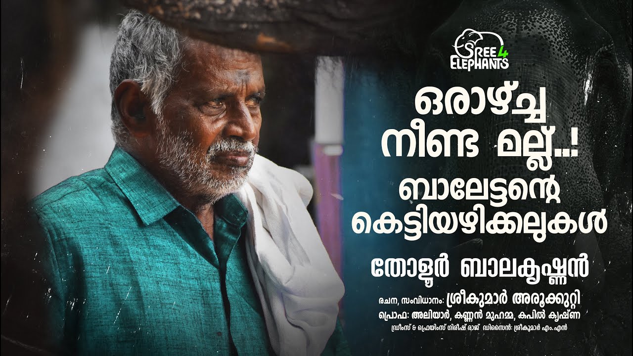 വലിയ കോലിന് ചങ്ങലയിൽ മുട്ടുമ്പഴേ ആനയുടെ തരം അറിയാൻ പറ്റും...!
