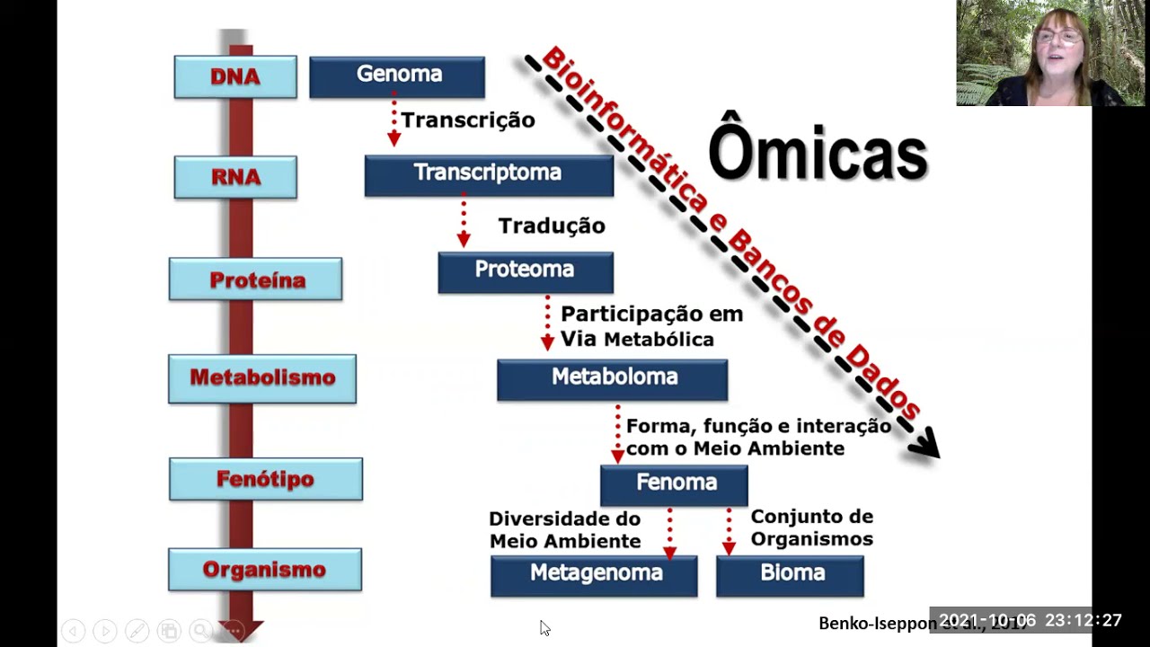 Ômicas, o que são e como afetam sua vida.
