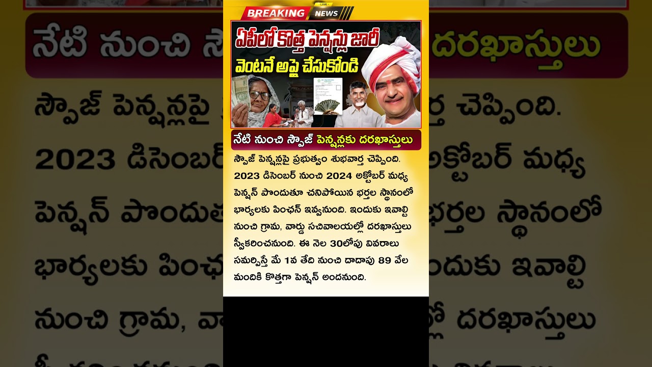 కొత్త పెన్షన్లు రిలీజ్.. కానీ వారికి మాత్రమే AP New Pension Release Date 2025 | NTR Bharosa Pensions