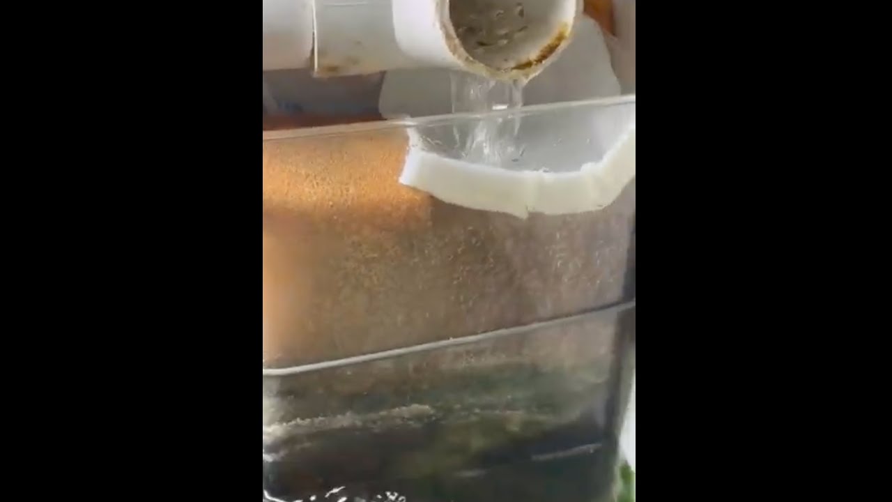 Aquarium Filtration Basics